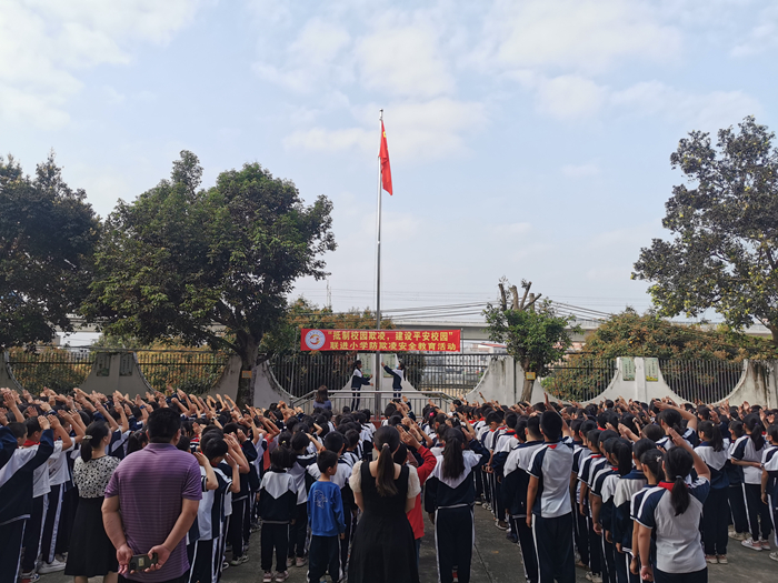 2023年4月17日惠東縣白花聯(lián)進(jìn)小學(xué)開展“抵制校園欺凌，建設(shè)平安校園”安全主題教育活動(dòng) (1).jpg