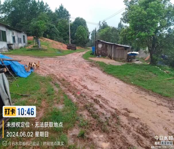已編輯圖片