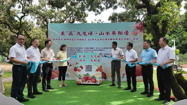 九龍峰荔枝1.jpg